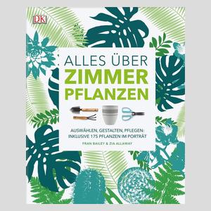 Alles über Zimmerpflanzen