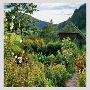 Buchauszug 2 von Der Traum vom Bauerngarten