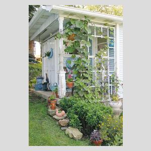 Buchauszug 3 von She Sheds – Ein Raum nur für mich