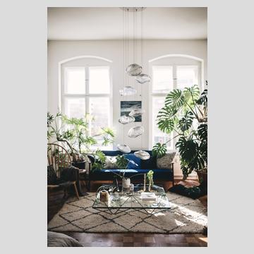 Buchauszug 3 von Plant Tribe – Vom glücklichen Leben mit Pflanzen