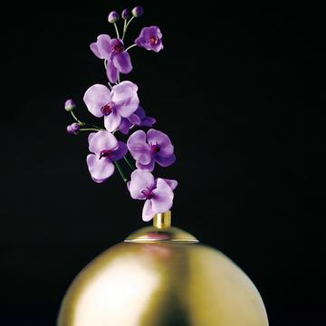 Goldene Vase SEDUCTION von Sieger by Fürstenberg aus der Kollektion Objets to a muse