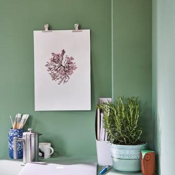 Wandfarbe BREAKFAST ROOM GREEN von Farrow & Ball
